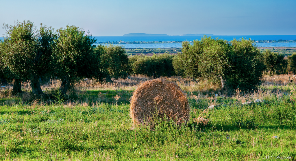 Gargano Isole Tremiti, Puglia, Party, Italy, Landscape, Countryside, Travel, Retreat, Yoga, Getaway